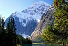 2026世界杯竞猜-莫里斯莫里斯蠕虫